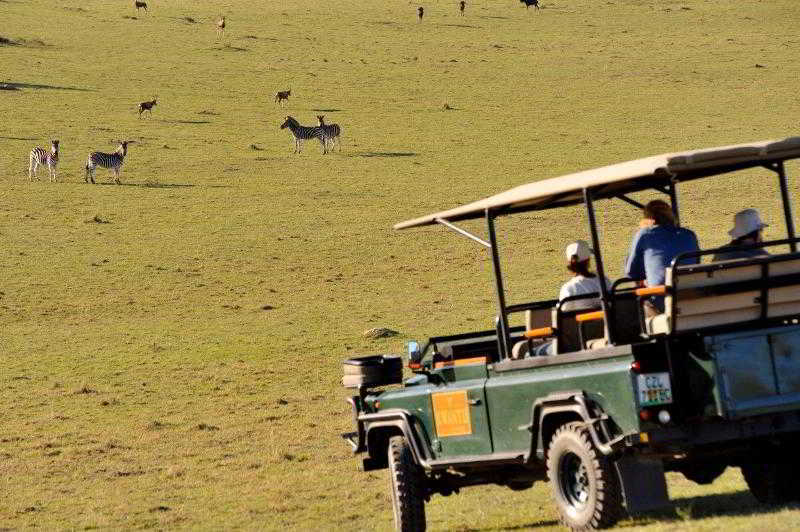 Kwantu Private Game Reserve Sidbury Luaran gambar