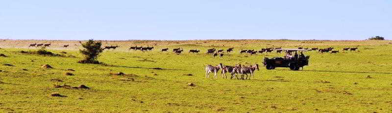 Kwantu Private Game Reserve Sidbury Luaran gambar